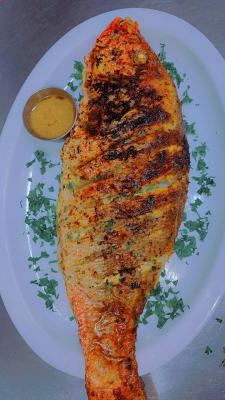 CK shows - African Restaurants