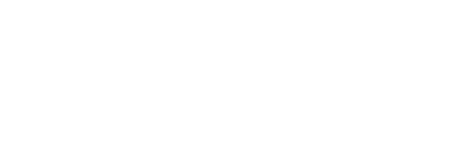 African American Leadership Institute logo